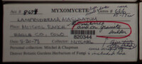Image Associated With the Occurence